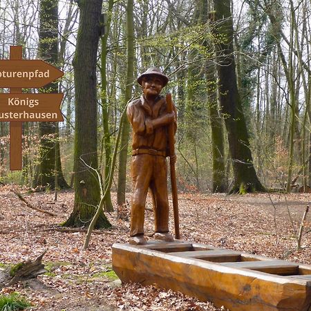 Relaxrefugium Luxus - Kueche, Arbeitsplaetze, Stellplatz & Komfort Fuer Bis 6 Gaeste Königs Wusterhausen Eksteriør billede